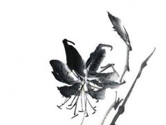 虎寶寶叫什么名字好 虎寶寶叫什么名字好男孩