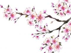 男稱骨算命細節表詳情 男命稱骨算法