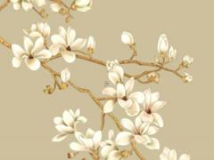 1975每屬兔一生有二婚 屬兔人49歲有一場大災難