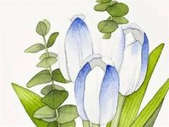 屬蛇用什么名字最好吉利 屬蛇的用什么名字好