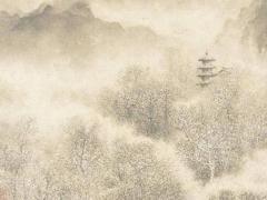 2024年木龍命幾月出生最好 2024年是木命嗎