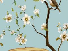 屬鼠的2024年運勢和財運怎么樣 屬鼠人在2024年的運勢