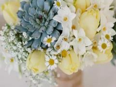 低聲下氣 從不挺起腰板的星座