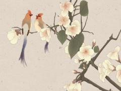 生辰八字測名大全 生辰八字測名網