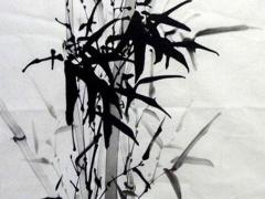 屬龍的2023年虛歲多大,屬龍的2023年虛歲是多少歲