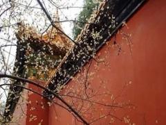 八字如何看什么時候結(jié)婚證 八字看何時領結(jié)婚證