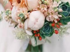 具有宇宙觀的星座