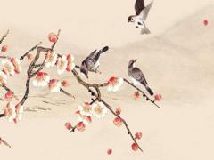 雙胞胎的生辰八字一樣 雙胞胎生辰八字一樣為什么有先死