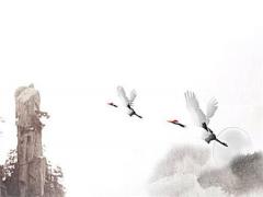 68年屬猴男人晚年幸福嗎,68年屬猴男能活多大