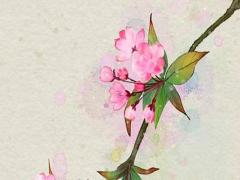 新生女嬰起什么名字最好 2022年女寶寶取名宜用部首