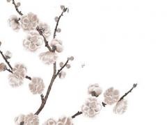 張藝興八字命理 張藝興八字事業愛情