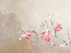 屬馬一生被什么人所害 屬馬一生遠(yuǎn)離這個(gè)人