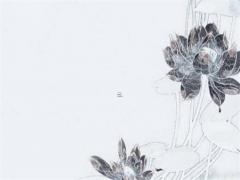 68年屬猴女的一生婚姻,68年猴女一生有幾次婚姻