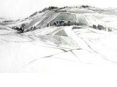 79年屬馬和84年屬鼠 78年屬馬的和84年屬鼠的配嗎