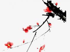 盲派八字斷語集錦 盲派八字秘訣