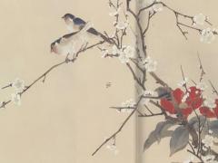 摩羯座為什么注定成魔王 摩羯座為什么是神仙中的星座