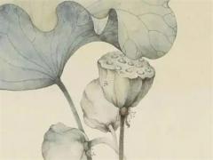 女屬兔和什么屬相婚姻最佳,女屬兔和什么屬相最配婚姻