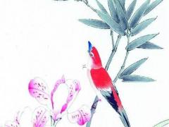 粉色的風信子的花語是什 各種顏色的風信子的花語