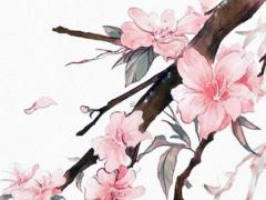 生肖鼠的更佳配偶屬相是什么 生肖鼠的最佳婚配屬相