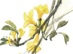 擇婚期擇出的問題 擇婚標準