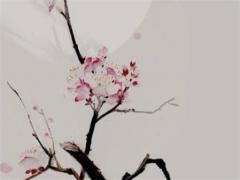 1984屬鼠女在2024年的運勢 1984年鼠女2024年運勢完整版