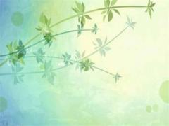 屬鼠和屬羊的合伙做生意怎么樣,屬鼠和屬羊合作