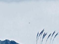 屬豬的和屬耗子的能婚配嗎 屬耗子和屬豬的合不合