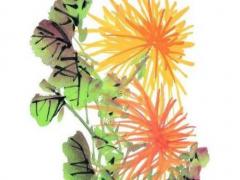 婚姻給了女人什么更好的回答 婚姻給了女人什么簡短句子