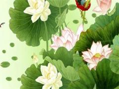 生辰八字出生時間查詢 生辰八字出生時間表