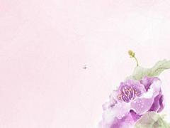 算命說貴婦命什么意思 貴婦人命什么意思