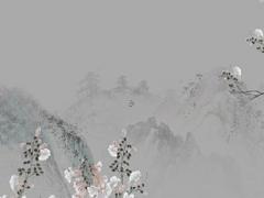 屬牛人2024年全年運勢及運程 屬牛2024年下半年運勢及運程