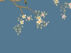 屬虎各年齡段 屬虎的各年齡段