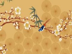 生辰八字怎么排出來 生辰八字排盤怎么排