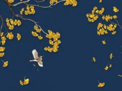 怎樣看批斷四柱八字 怎樣從四柱中判斷八字好壞