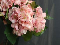 11月15日誕生石生辰石：藍寶石