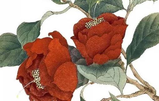 算命能算出什么呢 算命能算到啥