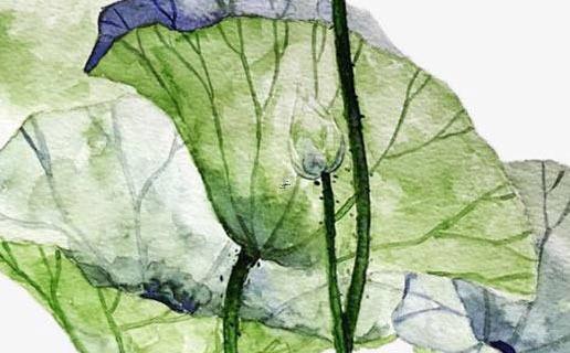 八字看什么人因肥胖而死 八字看變胖