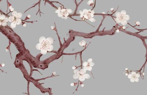 2023年屬蛇桃花劫，2023年屬蛇人