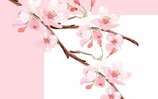 2007年4月17日八字算命 2007年4月17日是什么星座 2007年4月17日八字算命 2007年4月17日是什么星座