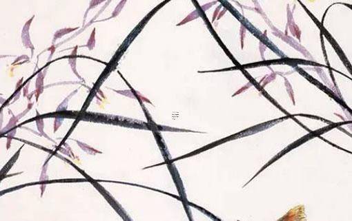 四柱八字金木水火土的運用 八字里的金木水火土代表什么 四柱八字金木水火土的運用 八字里的金木水火土代表什么