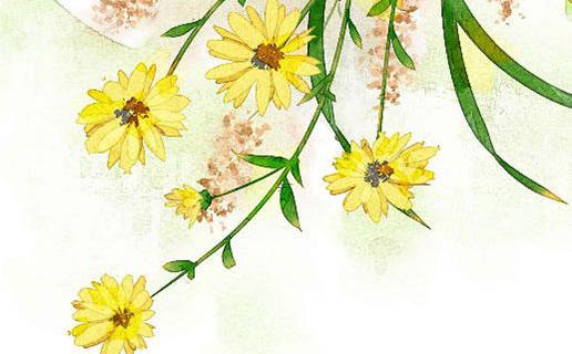 2020年QQ三個(gè)字的女生網(wǎng)名 qq網(wǎng)名3個(gè)字的女生