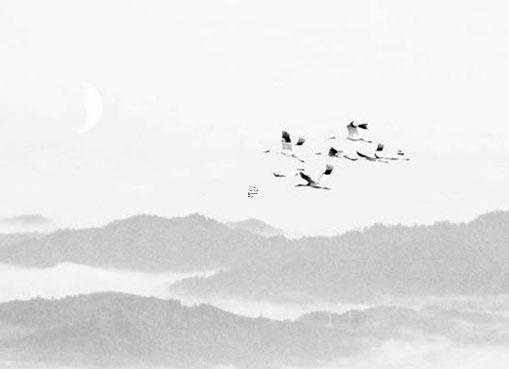 風水24山的12長生水口怎么起算 風水中的十二長生水法 風水24山的12長生水口怎么起算 風水中的十二長生水法