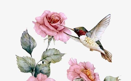 算命里面缺火是什么意思 算命命里缺火要怎么辦