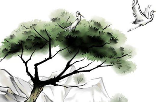 明字五行屬什么 茗字五行屬什么 明字五行屬什么 茗字五行屬什么