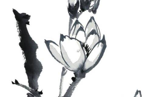 喜用神最正確的算法八字強(qiáng) 八字命理喜用神 喜用神最正確的算法八字強(qiáng) 八字命理喜用神