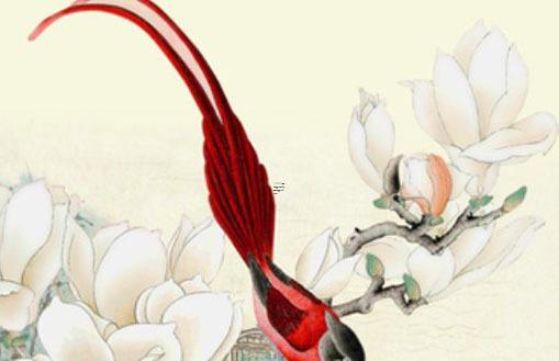 早上空腹喝酸奶好嗎哺乳期 早上空腹喝酸奶可以排便嗎 早上空腹喝酸奶好嗎哺乳期 早上空腹喝酸奶可以排便嗎