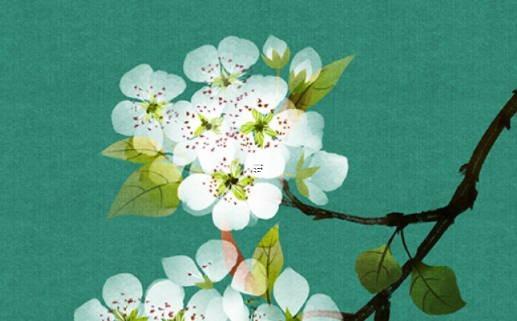 幾招教你旺桃花催姻緣 怎樣催旺桃花姻緣 幾招教你旺桃花催姻緣 怎樣催旺桃花姻緣