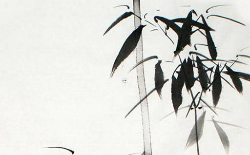 65年屬兔的人今天運氣如何 75年兔六月運氣如何 65年屬兔的人今天運氣如何 75年兔六月運氣如何