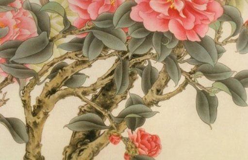 屬蛇人養(yǎng)什么盆栽,屬蛇人適合養(yǎng)什么植物旺財(cái) 屬蛇人養(yǎng)什么盆栽,屬蛇人適合養(yǎng)什么植物旺財(cái)