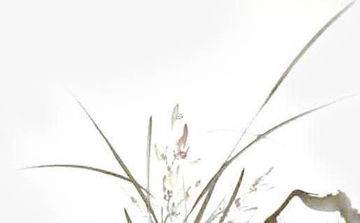 八字日柱有孤鸞是什么意思 八字日柱孤鸞煞 八字日柱有孤鸞是什么意思 八字日柱孤鸞煞